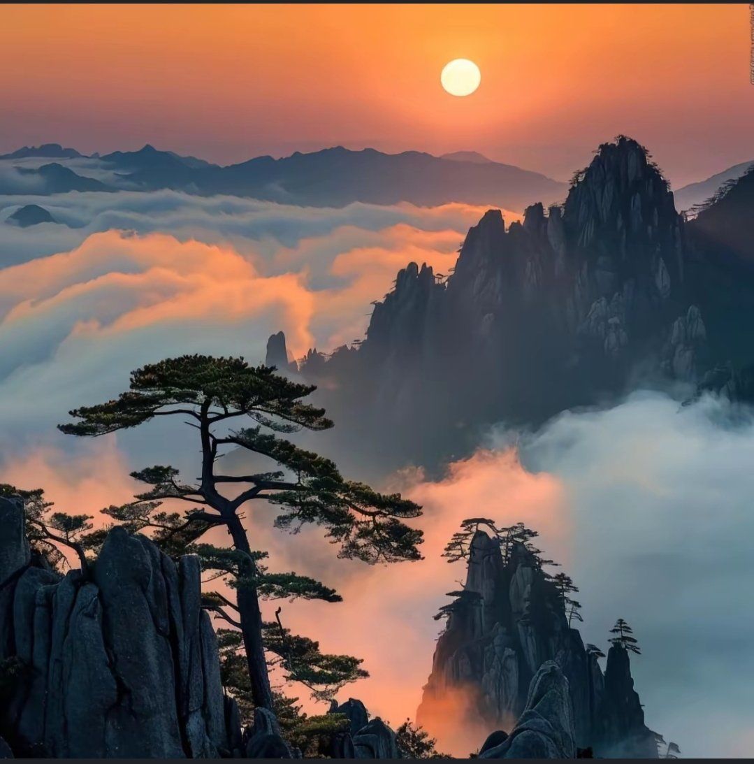 一天免费看三次的花季传媒
